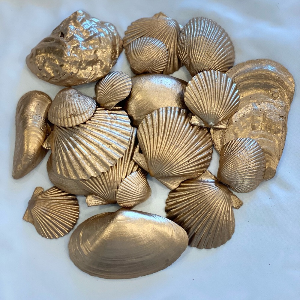 Lot of 20 Various Size Gold Shells